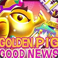 GOLDEN PIG GOOD NEWS