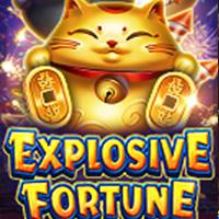 Explosive Fortune