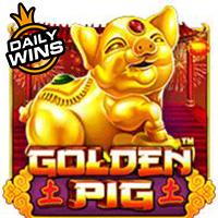 demo slot Golden Pig